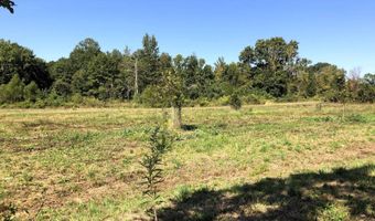1071 LR 3, Ashdown, AR 71822