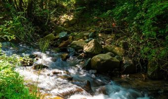 4375 TAYLOR CREEK Rd, Afton, VA 22920