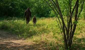 20055 NW Pihl Rd, Banks, OR 97106