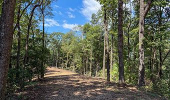 4 Black Rock Trl 4, Andrews, NC 28901