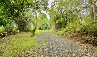29-509 CHIN CHUCK Rd, Hakalau, HI 96710