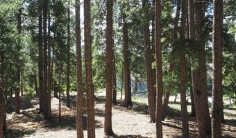 Caesar Rd, Black Hawk, CO 80422