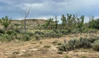 1242 Hwy 20 S, Basin, WY 82410