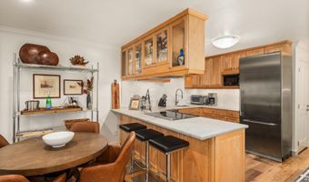 205 E Durant Ave 1-B, Aspen, CO 81611