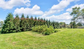 1607 Tater Hill Rd, Bean Station, TN 37708