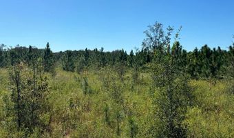 Lot 2 50th Ave, Bell, FL 32619