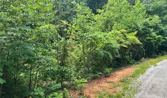 1 31 AC Wood River Ln, Allons, TN 38541