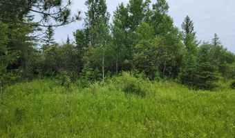 Xxx Heino Road, Angora, MN 55703