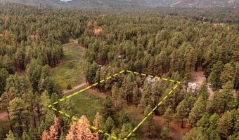 11 Whitetail Rd, Alpine, AZ 85920