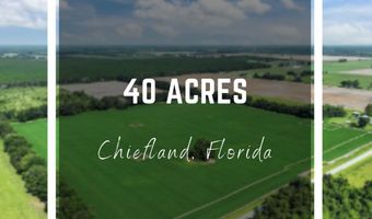 10 Th Ave, Chiefland, FL 32626