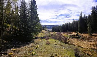 PCS # 7765 & 12057 Rollies Trail lot 0, Alma, CO 80420