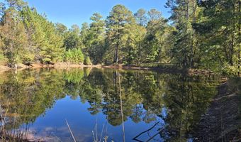 7501 Rainey Morris Rd, Appling, GA 30802