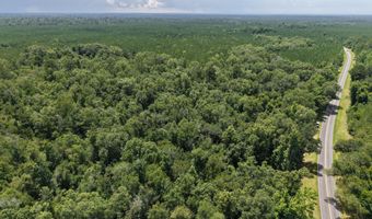 River Rd, Bascom, FL 32423