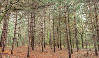 W8540 Duck Creek Lane, Westfield, WI 53964