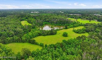Vine Drive, Brandon, MS 39047