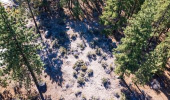 282 Gray Mill Ct Lot C9, Carson City, NV 89705
