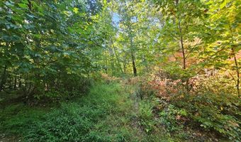 Fox Hollow Dr lot 17, Bastian, VA 24314