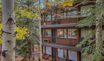 731 S Mill St 3A, Aspen, CO 81611