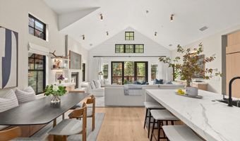507 W Main St C-201, Aspen, CO 81611