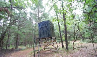 2782 River Rdg, Alger, MI 48610