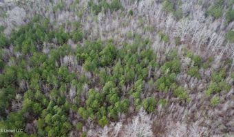 Saint John Road, Braxton, MS 39044