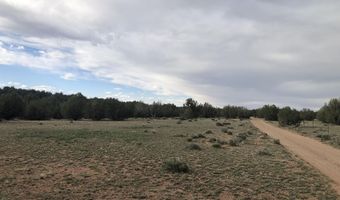 302-17 306 Haywire Rd, Ash Fork, AZ 86320