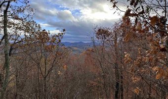 00 Peaked Hill Rd 7.1, 7.2, 7.3, 7.4, Bristol, NH 03222