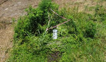 Lot 1 Matt Morrow Road, Arab, AL 35016
