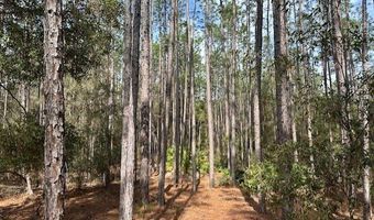 US Hwy 129, Bell, FL 32619