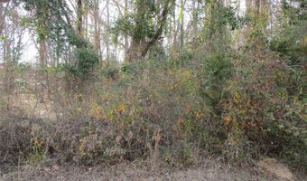 Wood County Road 2958, Alba, TX 75410