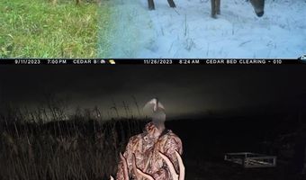 189 Th St, Albia, IA 52531