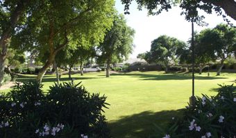 1695 W MACAW Dr, Chandler, AZ 85286