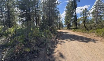 0 Grizzy Ln 9, Bonanza, OR 97623