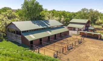 10341 Tongue Creek Rd, Austin, CO 81410