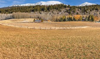 125 YELLOW ROSE Dr, Alta, WY 83414