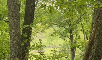 NEW MOUNTAIN Road, Aldie, VA 20105