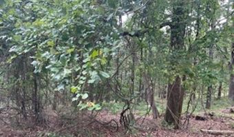 46 Mandarina Way, Hot Springs Village, AR 71909