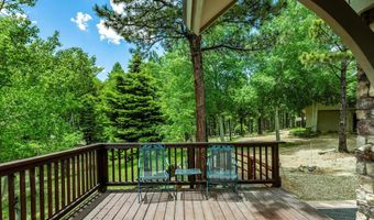 59 Palo Flechado Ridge Rd, Angel Fire, NM 87710