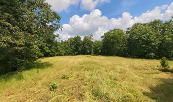County Road 200, Alton, MO 65606