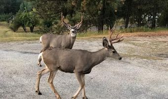 643 S Main St, Cascade, ID 83611
