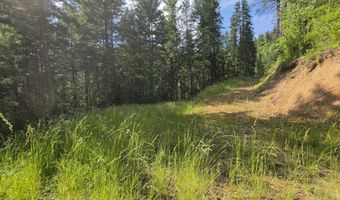 480 Dunn Peak Rd, Avery, ID 83802