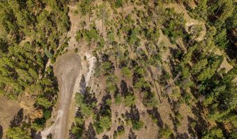 CR 2193, Alpine, AZ 85920