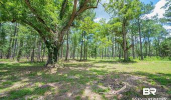 County Road 86, Bay Minette, AL 36507
