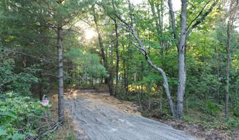 Michael Drive, Alger, MI 48610