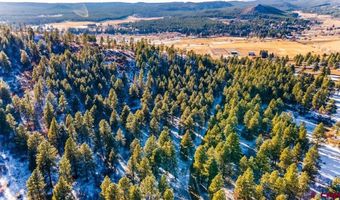 TBD Lot 11 Beaver Creek Ranch Drive, Bayfield, CO 81122