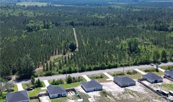 9265 SE Tibet Hwy, Allenhurst, GA 31301