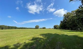 Lot 5b Rains County Road 2420, Alba, TX 75410