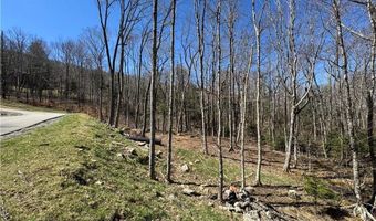 ES71 Twisted Oak Path, Banner Elk, NC 28604