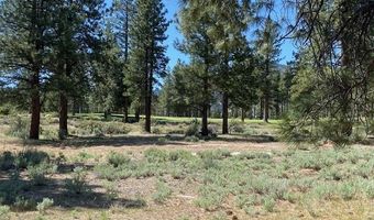 3541 Golf Club Dr 1, Carson City, NV 89705