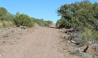 6 County Road 8052, Concho, AZ 85924